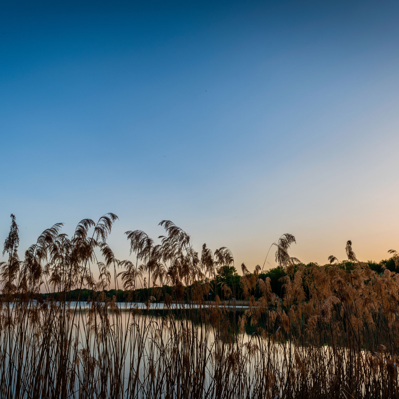 Events am See